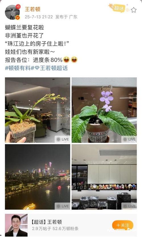 午夜国产自,揭秘国产影视作品的魅力与挑战